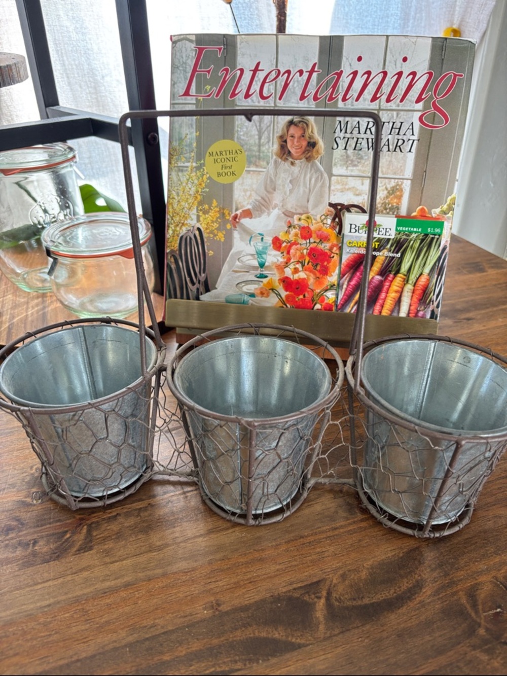 Galvanized Metal Trio Planter Basket - Rustic Wire Design